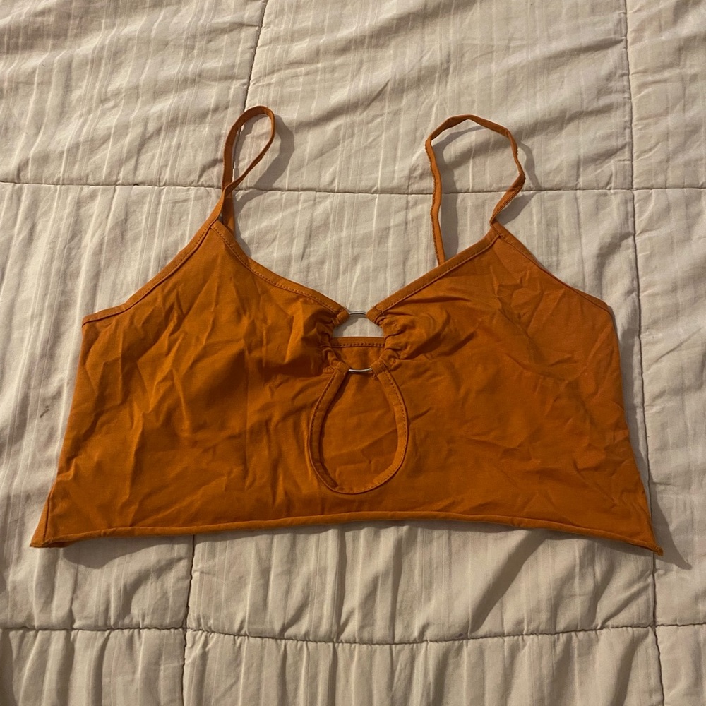 Burnt Orange crop top